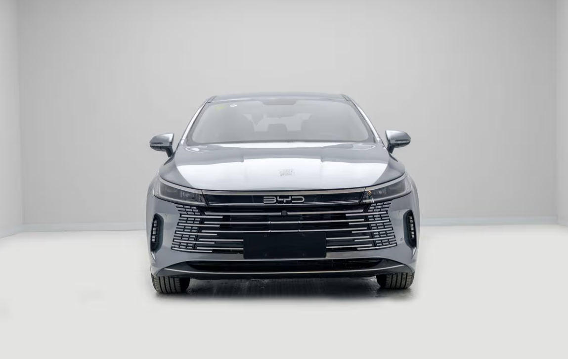 2025 Byd Destroyer 05 Luxury - View 3